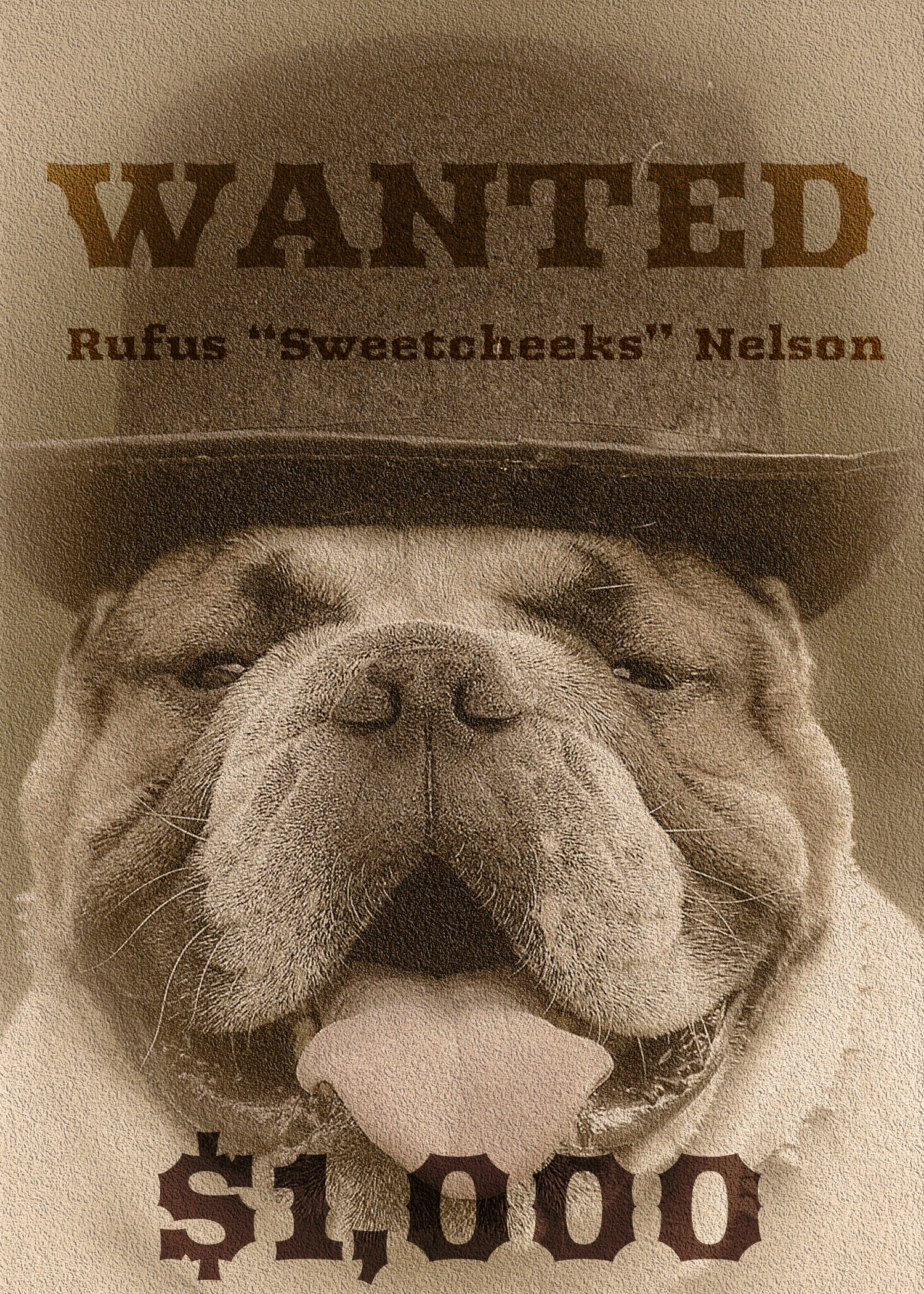 wanted